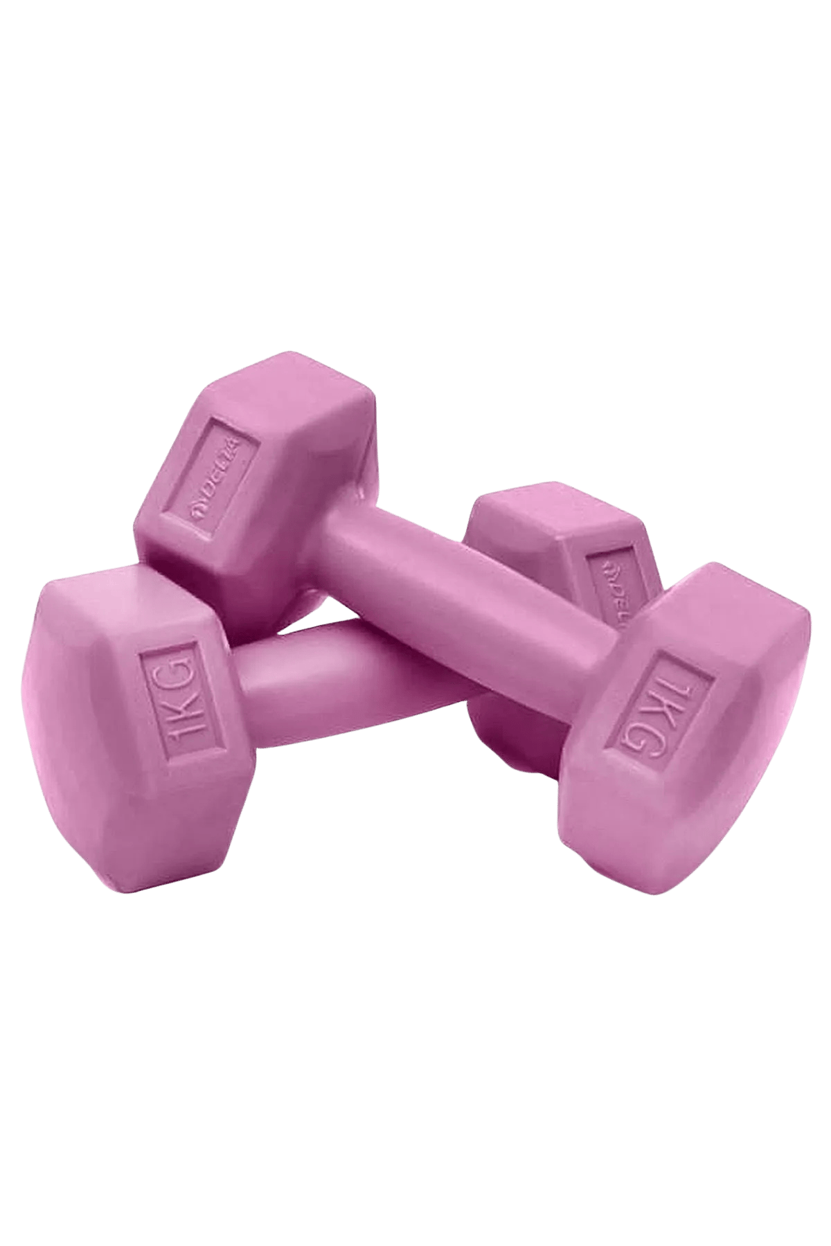 Delta UDL210 1 kg Mor Dambıl Çiftli 
