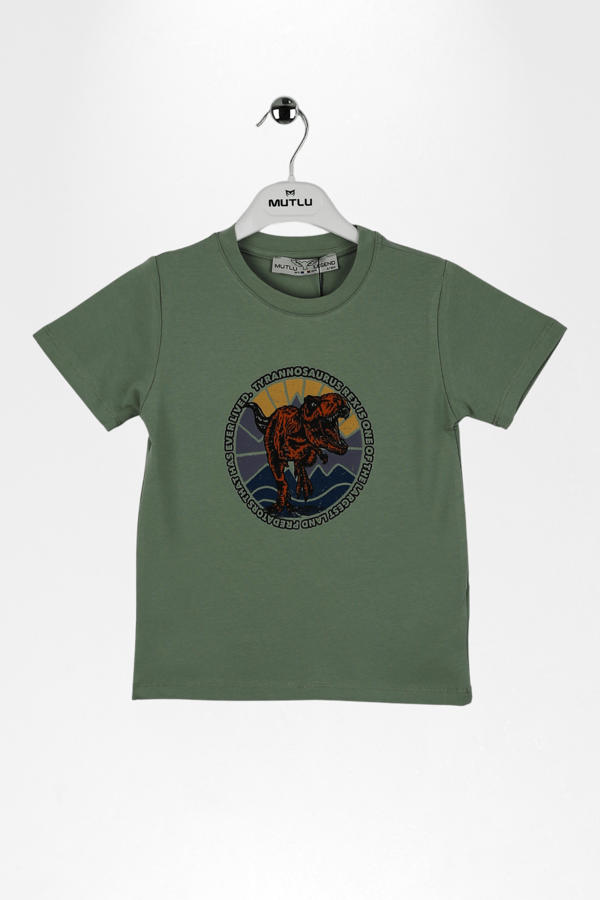 DİNAZOR BASKILI ERKEK TSHIRT