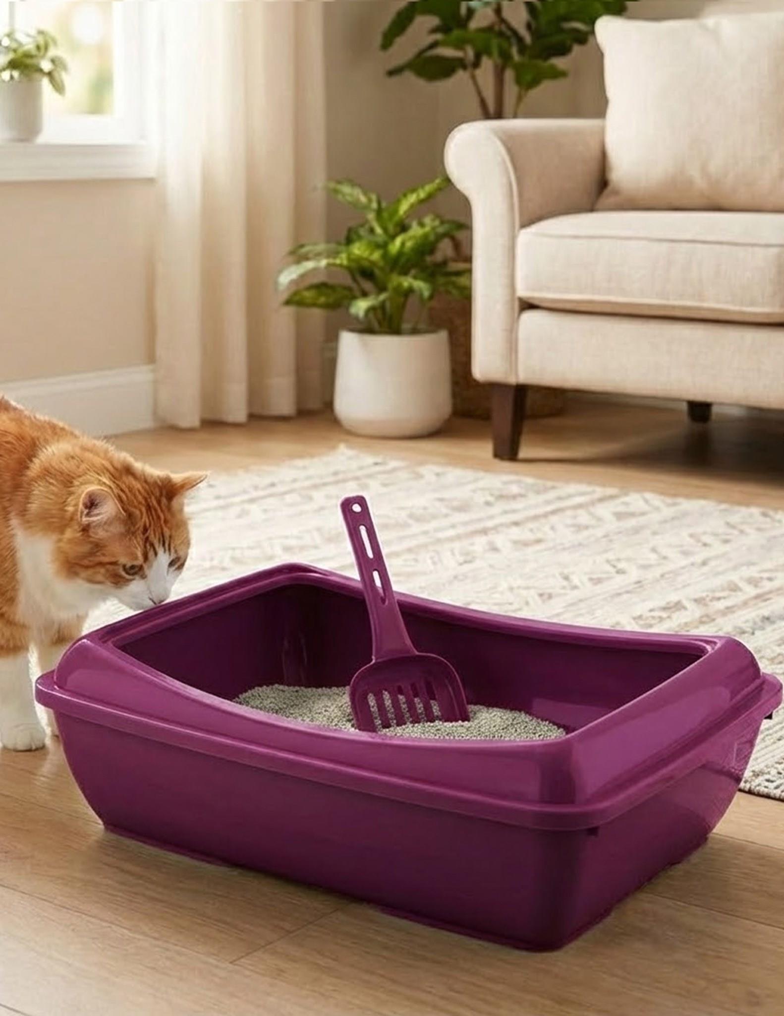 Açık Ekonomik Kedi Tuvaleti 49x15x37,5 cm Kürekli