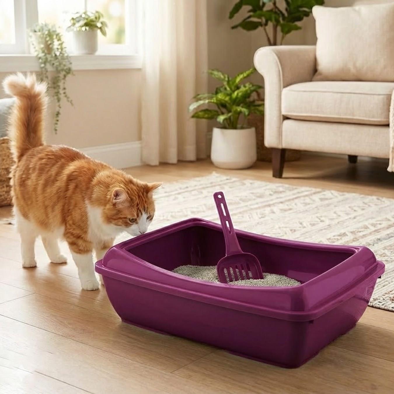 Büyük Açık Kedi Tuvaleti XXL