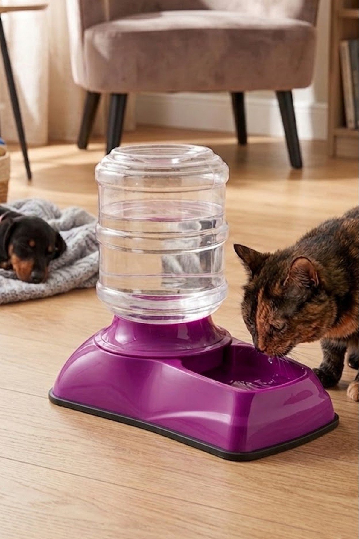 Damacanalı Kedi ve Köpek Su Sebili (Elektriksiz Otomatik Hazneli) 3.5 Litre
