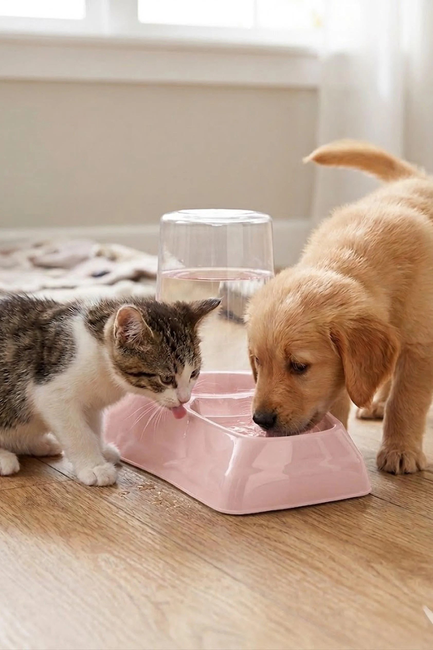 Hazneli Kedi Köpek Su ve Mama Kabı 1,75 LT