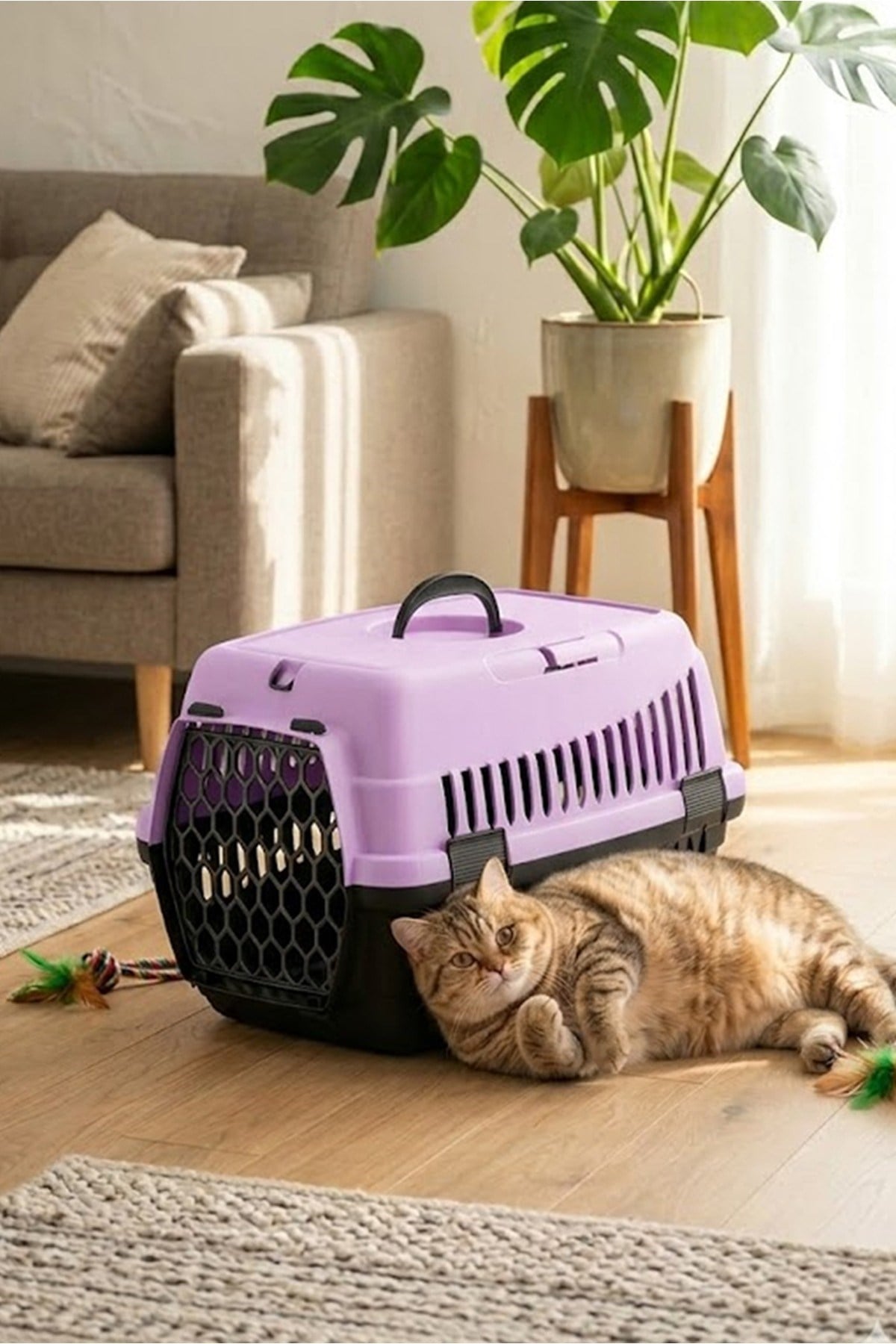 Kedi Köpek (Evcil Hayvan) Taşıma Çantası Orta Boy (Renkli)