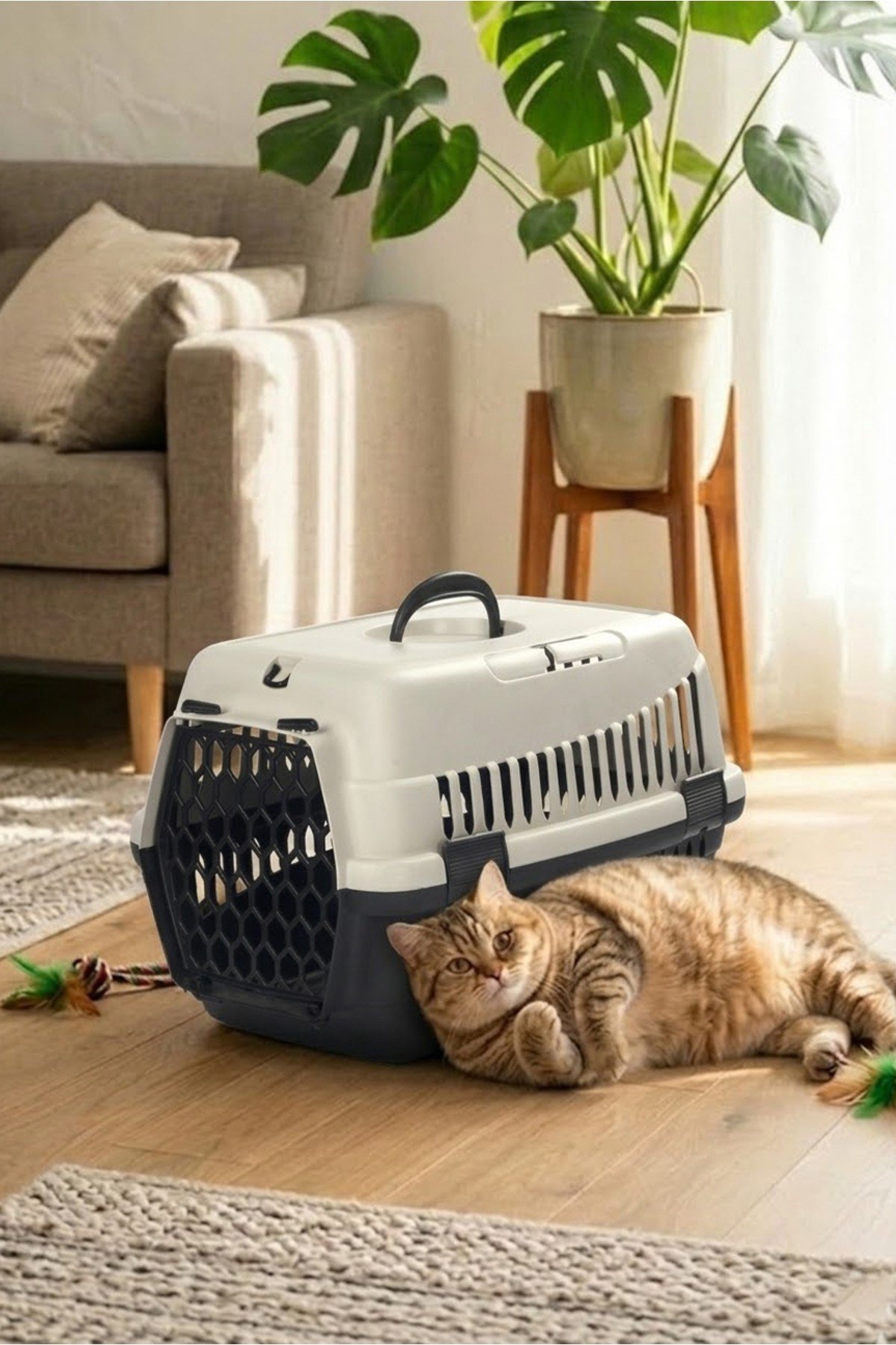 Kedi Köpek (Evcil Hayvan) Taşıma Çantası Orta Boy (Renkli)