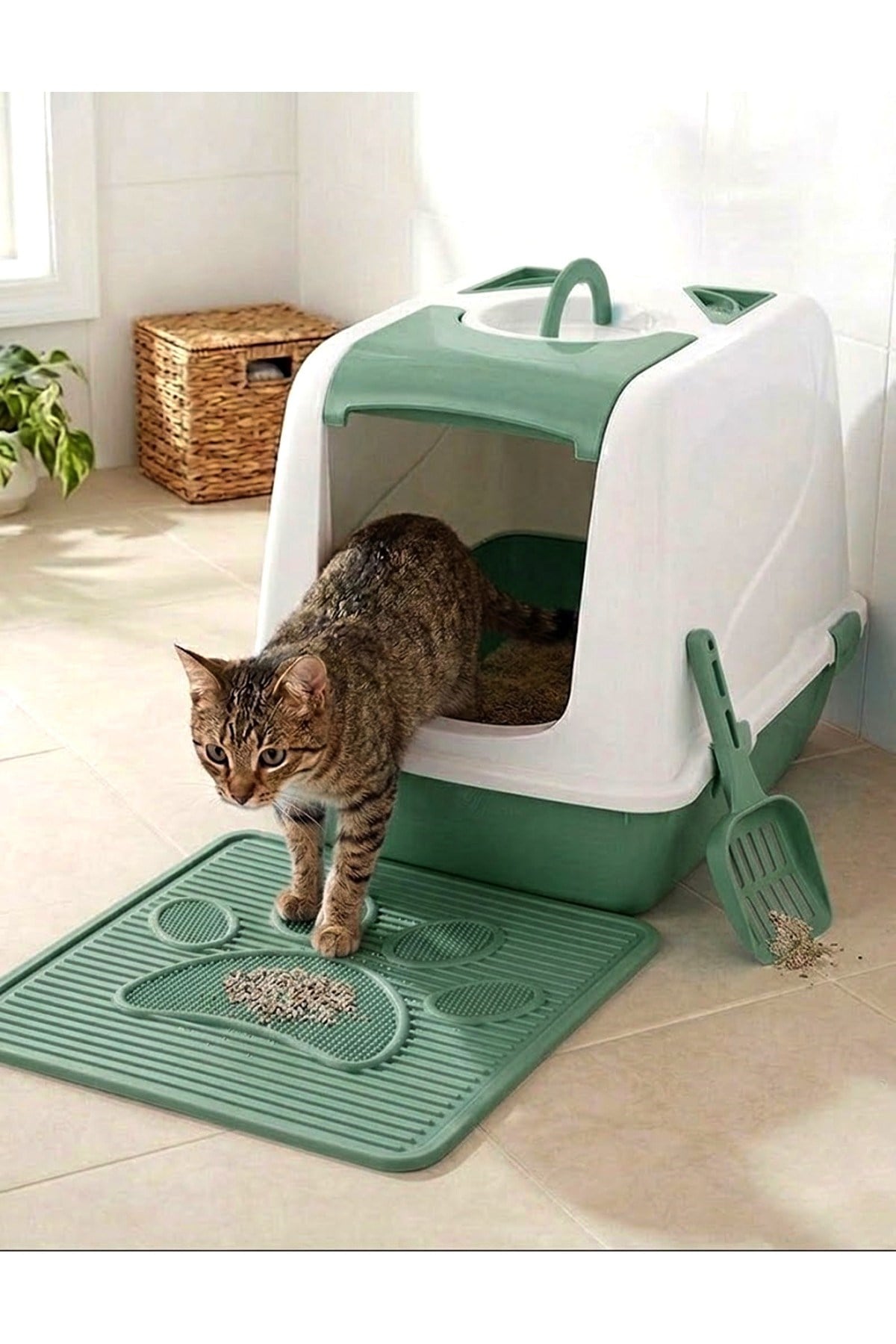 Kedi Tuvalet Seti (Kapalı Kedi Tuvaleti+Paspas+Kürek) XL Boy