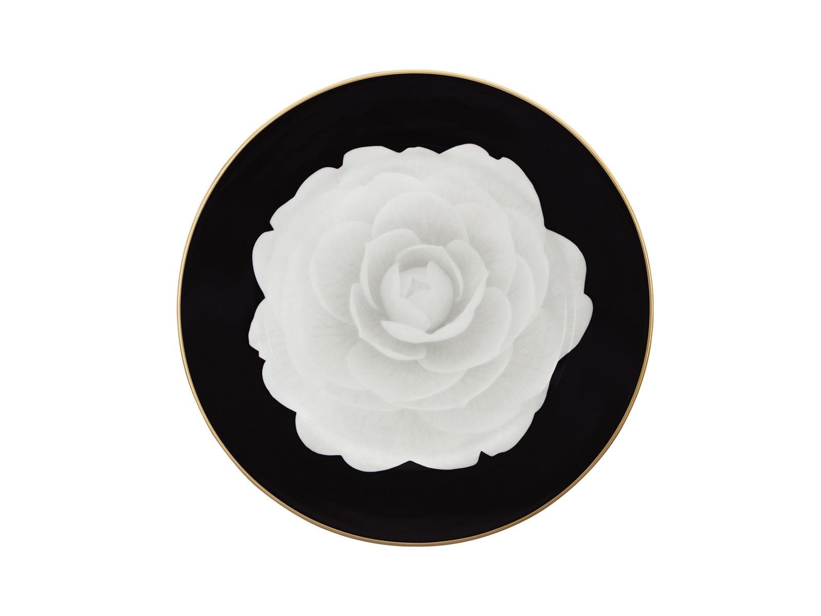 CAMELIA 31 CM