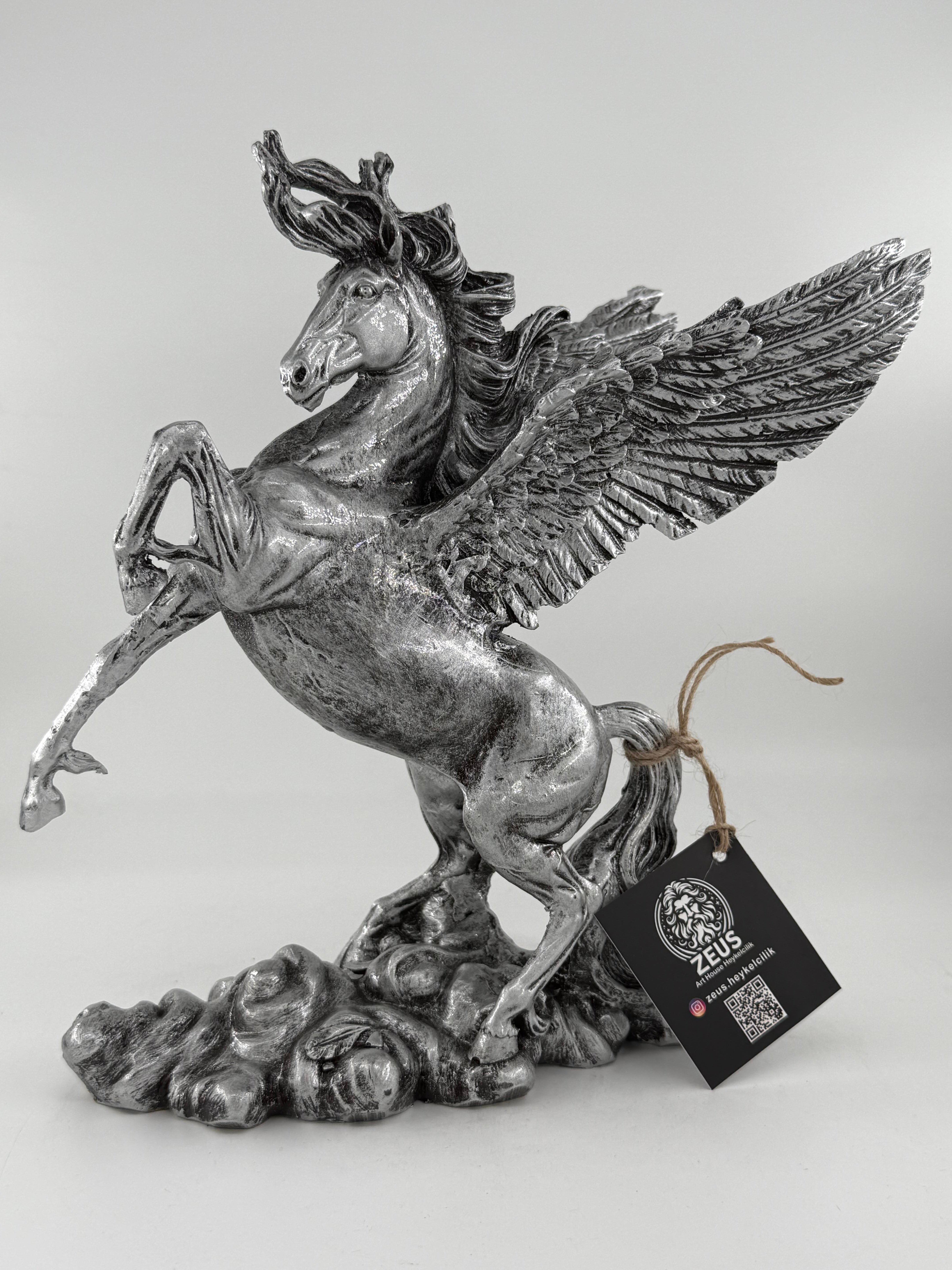 PEGASUS