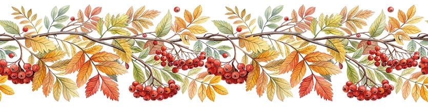 Bordür Rub On Transfer Ütü İle Baskı 150 cm RK 111