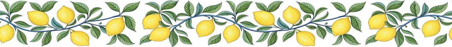 Bordür Rub On Transfer Ütü İle Baskı 150 cm RK 147