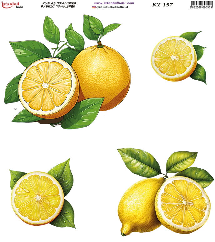 Kumaş Transfer Ütü İle Baskı 20 x 20 cm KT 207