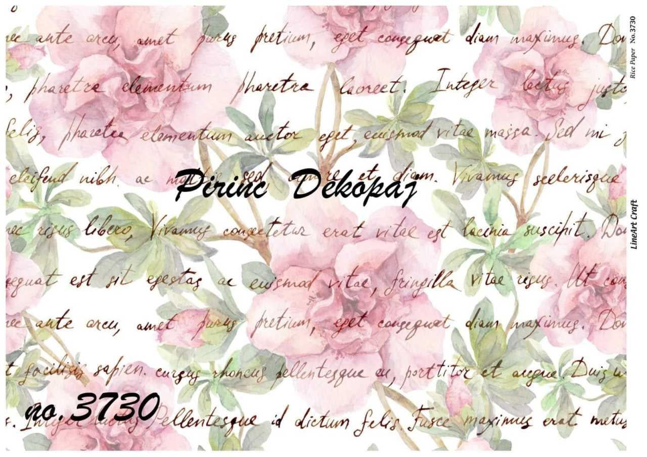 pd-3730-pirinc-dekopaj-e8-fb2.jpg