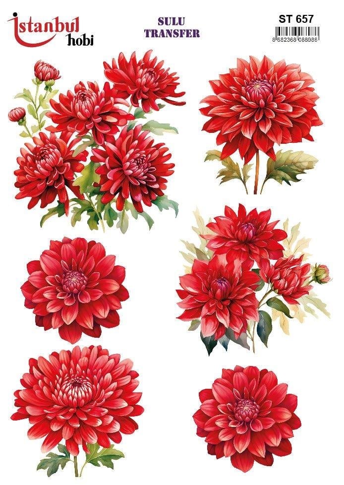 su-657-sulu-transfer-ab4e1c.jpg