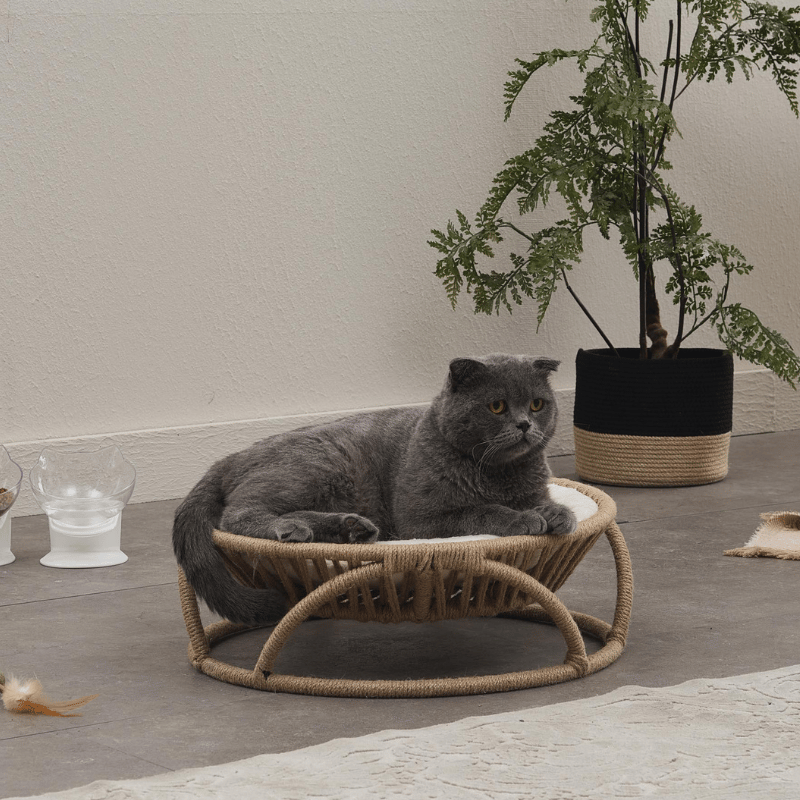 Bornea Pet Yatağı