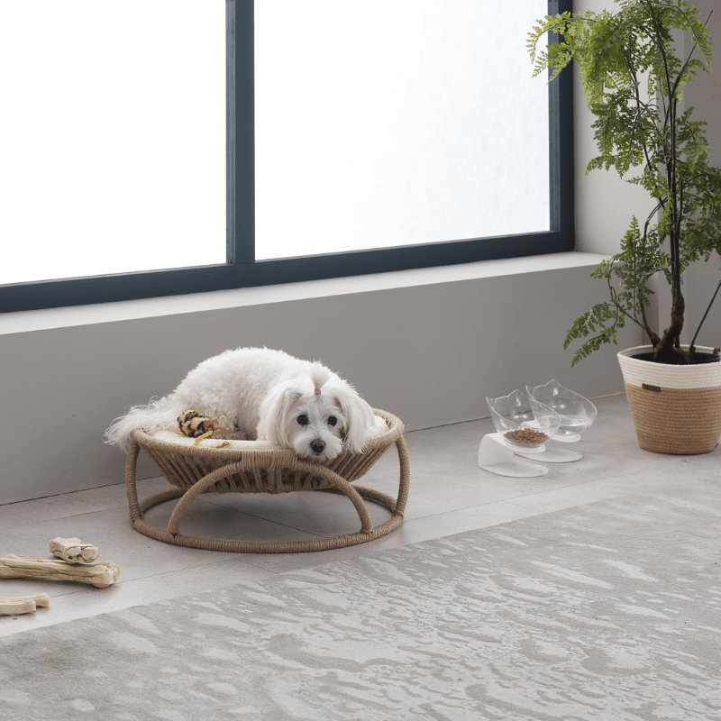 Bornea Bold Pet Yatağı