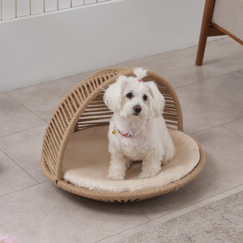 Dormi Pet Yatağı