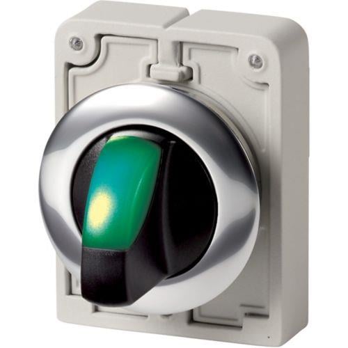 eaton-m30c-fwlk-g-buton-aksesuari-30-d--4e3a-.jpeg