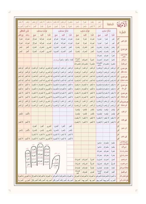 Emsile Bina Şeması Ali Kara