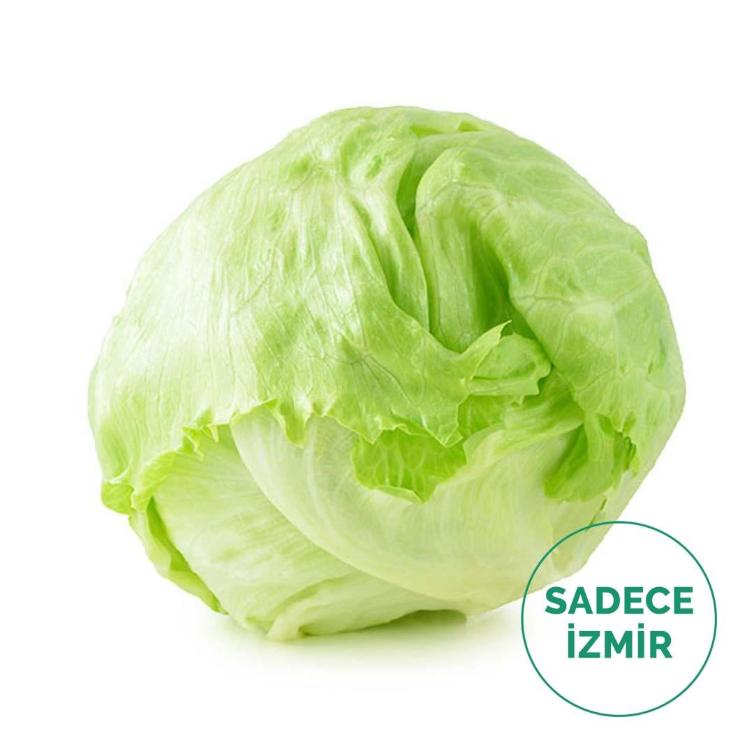 Iceberg (Atom) Marul (Adet)