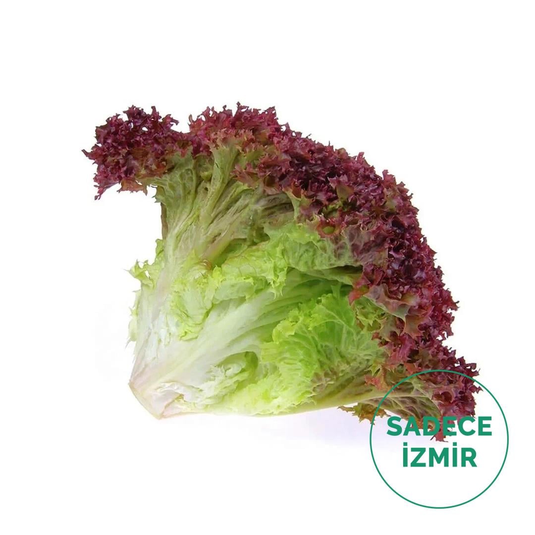 Lolorosso (Kırmızı) Marul (Adet)