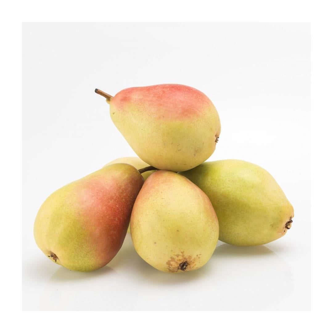 Santa Maria Armut  (500Gr)