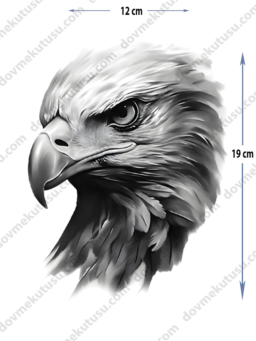 Geçici Dövme | Kartal Tasarımı – Özgürlüğün ve Gücün Simgesi