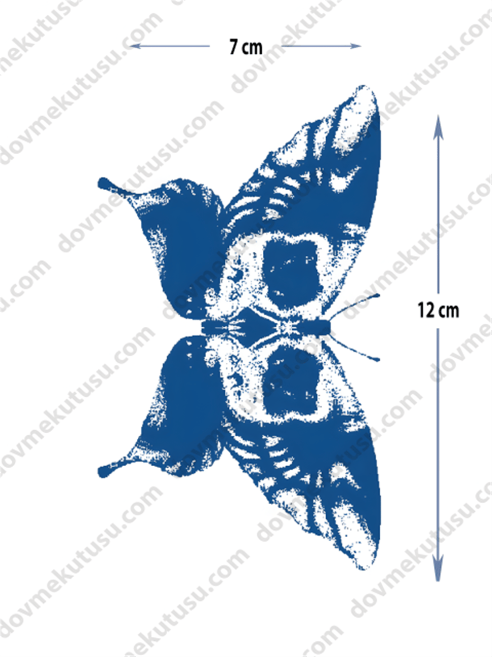 Yarı Kalıcı Küçük Boy Kelebek övmesi 