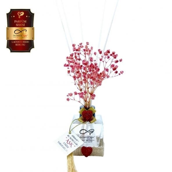 Aşk-ı Sermest Toptan Ölümsüz Aşk Parfüm Serisi Lacostee Redd Kokulu 5 x 60 ml küp Şişe Bambu Çubuklu Ortam Kokusu Reed Diffuser Oda Kokusu
