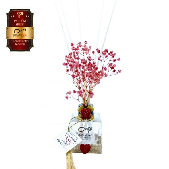 Aşk-ı Sermest Toptan Ölümsüz Aşk Parfüm Serisi Lacostee Redd Kokulu 10 x 60 ml küp Şişe Bambu Çubuklu Ortam Kokusu Reed Diffuser Oda Kokusu