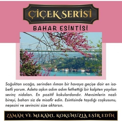 Koku Hanem Toptan Meczub Çiçek Serisi Bahar Esintisi 10 Adet 8 ml Silindir Şişe Oto Kokusu Araç Araba Parfümü