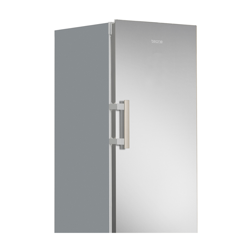 Tecna TDEX 8308 276 lt NF Dual E Sınıfı Dikey Derin Dondurucu Gümüş