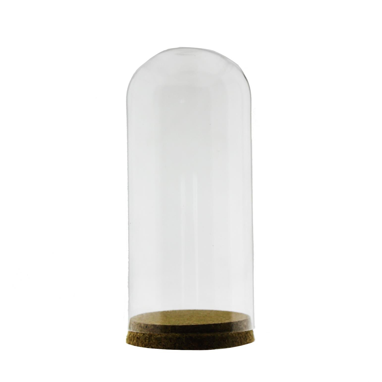 20x9cm Cam Tüp Fanus Terrarium Şişe