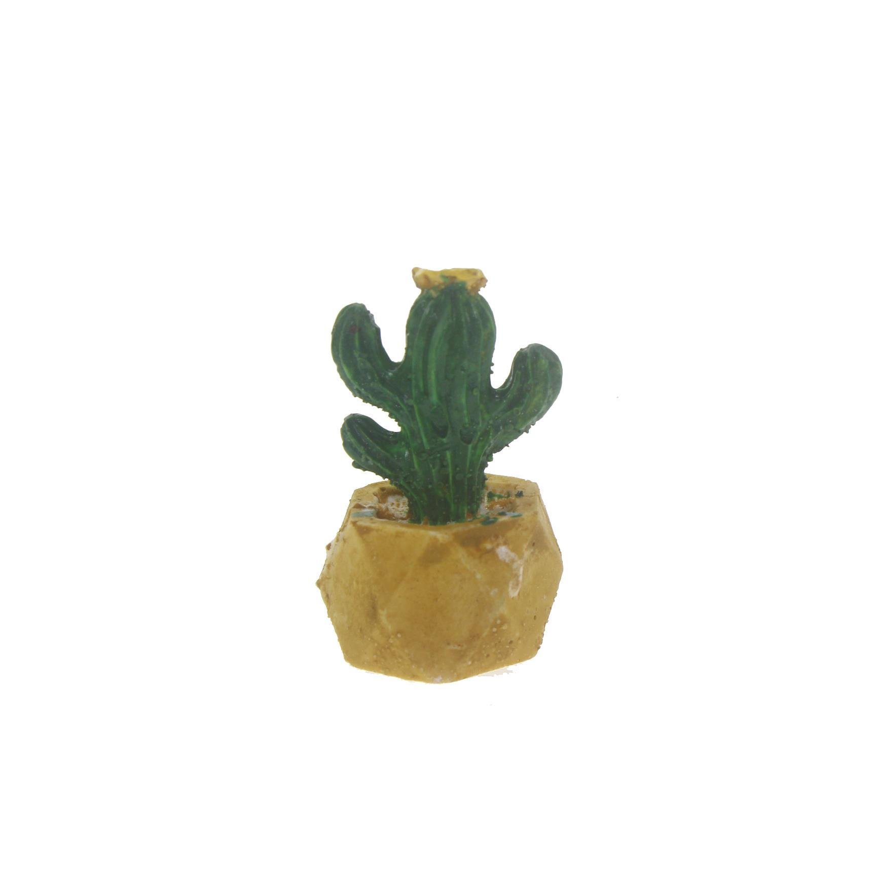 3 Adet 4x2cm Kaktüs Biblo Terrarium Minyatür