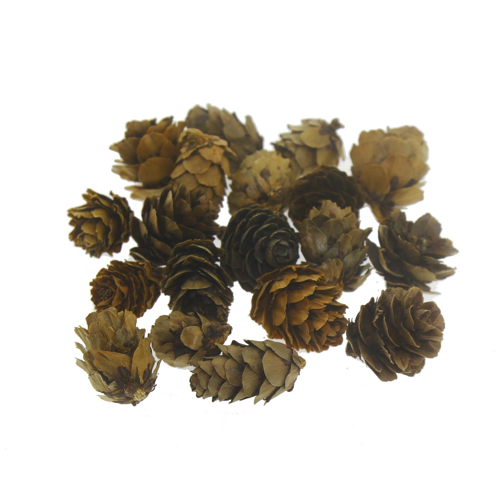 Doğal Kozalak 2-3cm 75gr. (50-55 Adet)