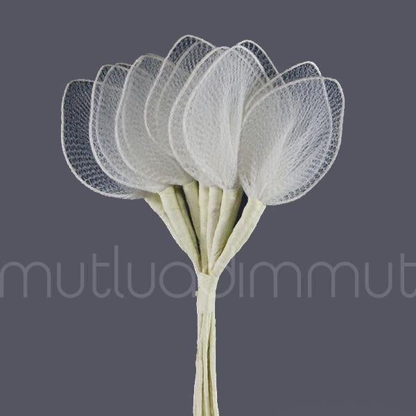 Yaprak Raket 72 Adet