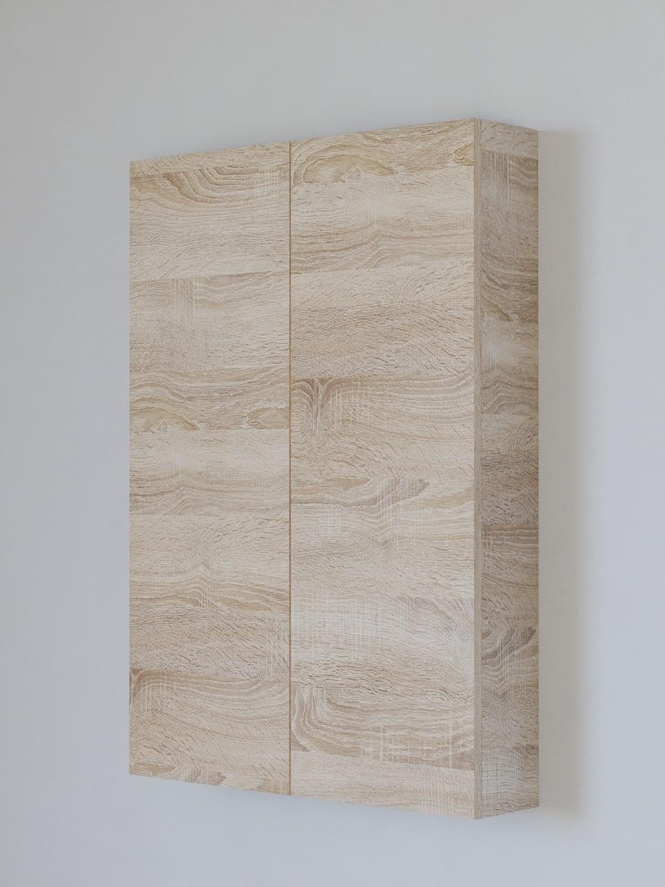 Detamob Kapaklı İnce Çok Amaçlı Dolap 104x72cm