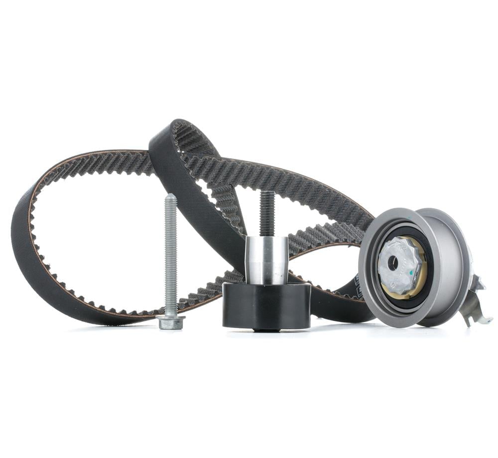 INA 530054610-TRİGER SETİ 1.8T 20V PASSAT 00 > 06B198119C