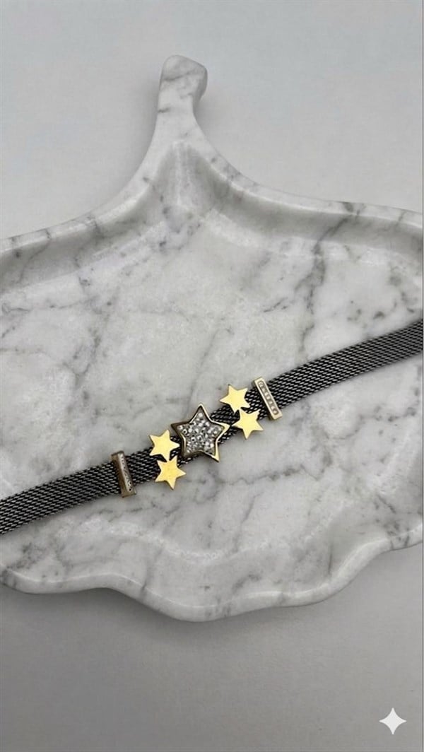 Çelik Pandora Bileklik (Gümüş) Blk 2512