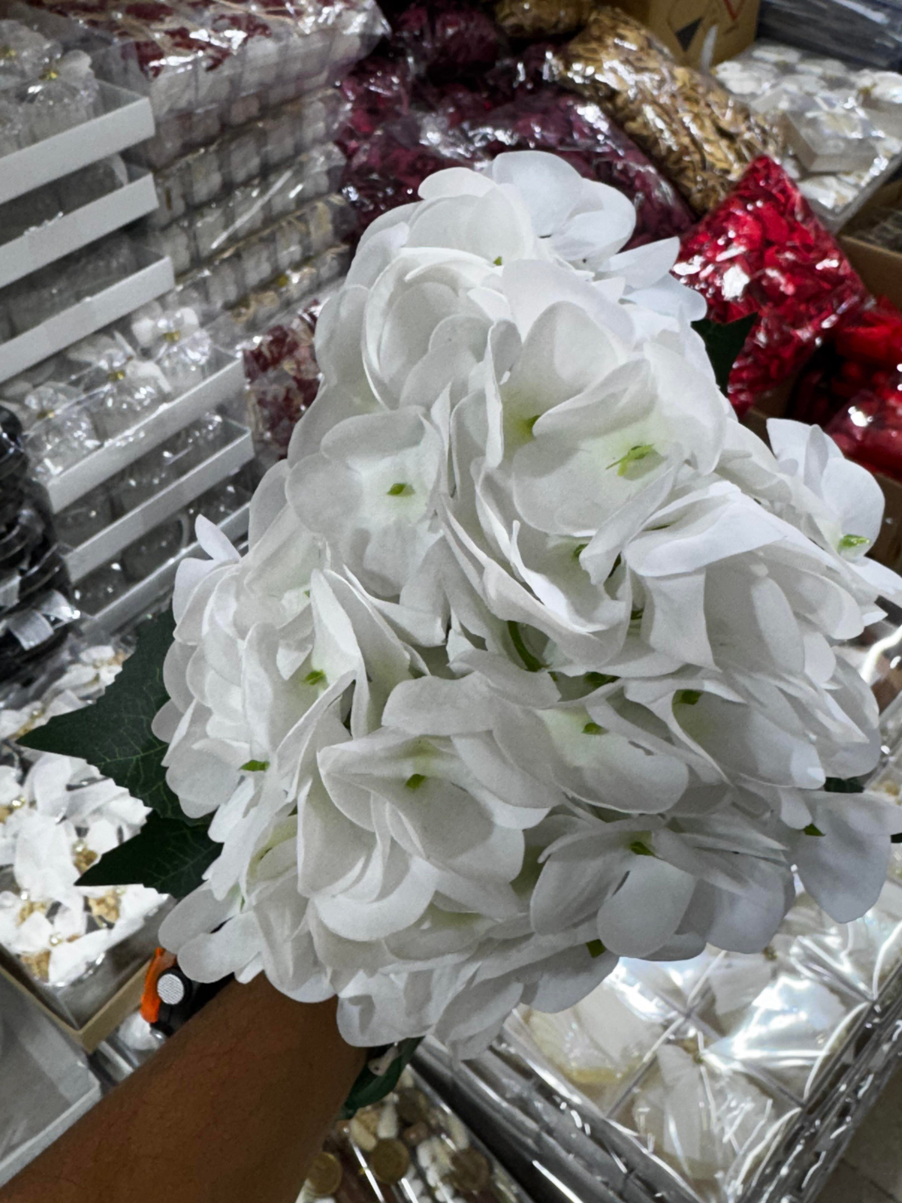 ISLAK ORTANCA DEMET beyaz(120-130 YAPRAK)