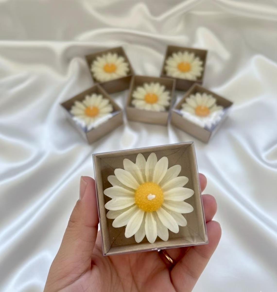 50 adet papatya kutulu mum