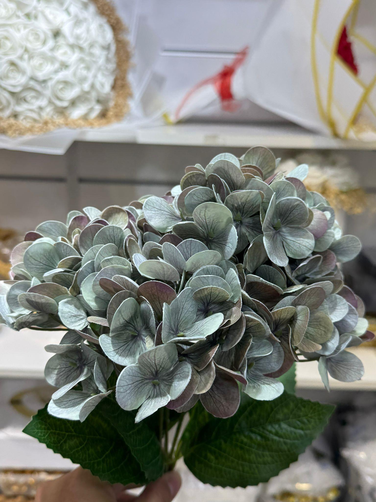 HAKİ YEŞİL RENK ISLAK ORTANCA