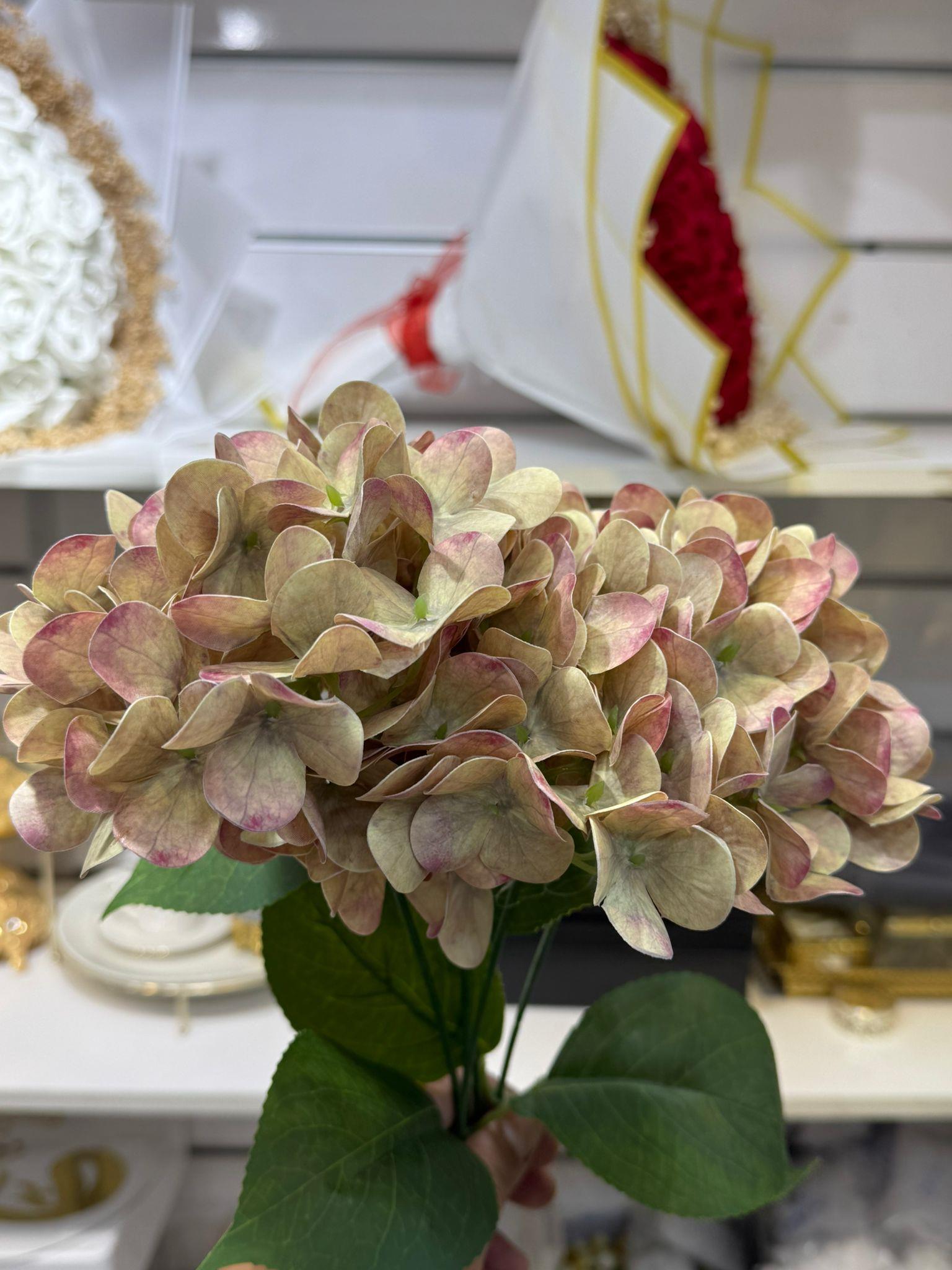 BEJ RENGİ ISLAK ORTANCA (120 - 130 YAPRAK)