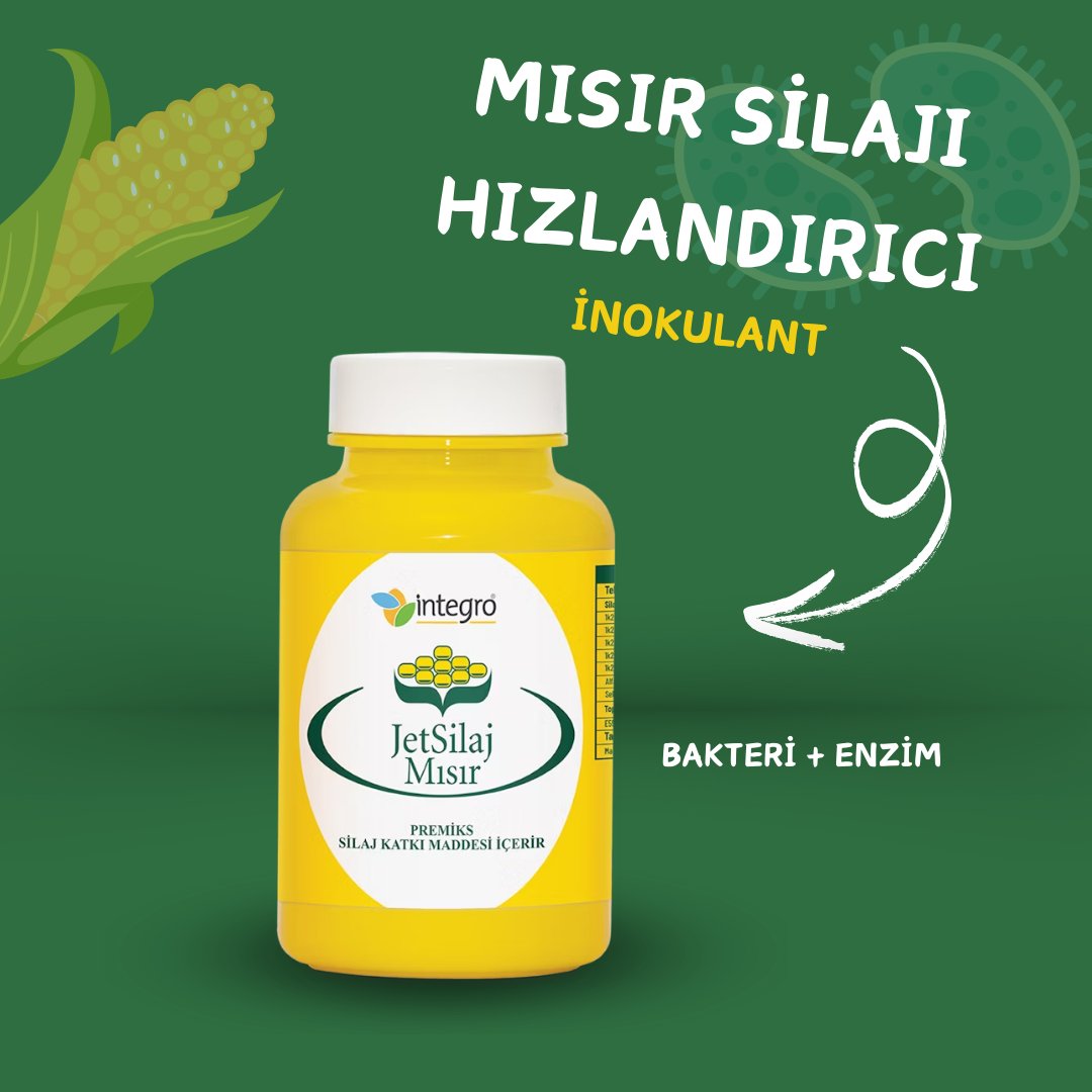 Mısır Silaj Katkısı İnokulant 50 g