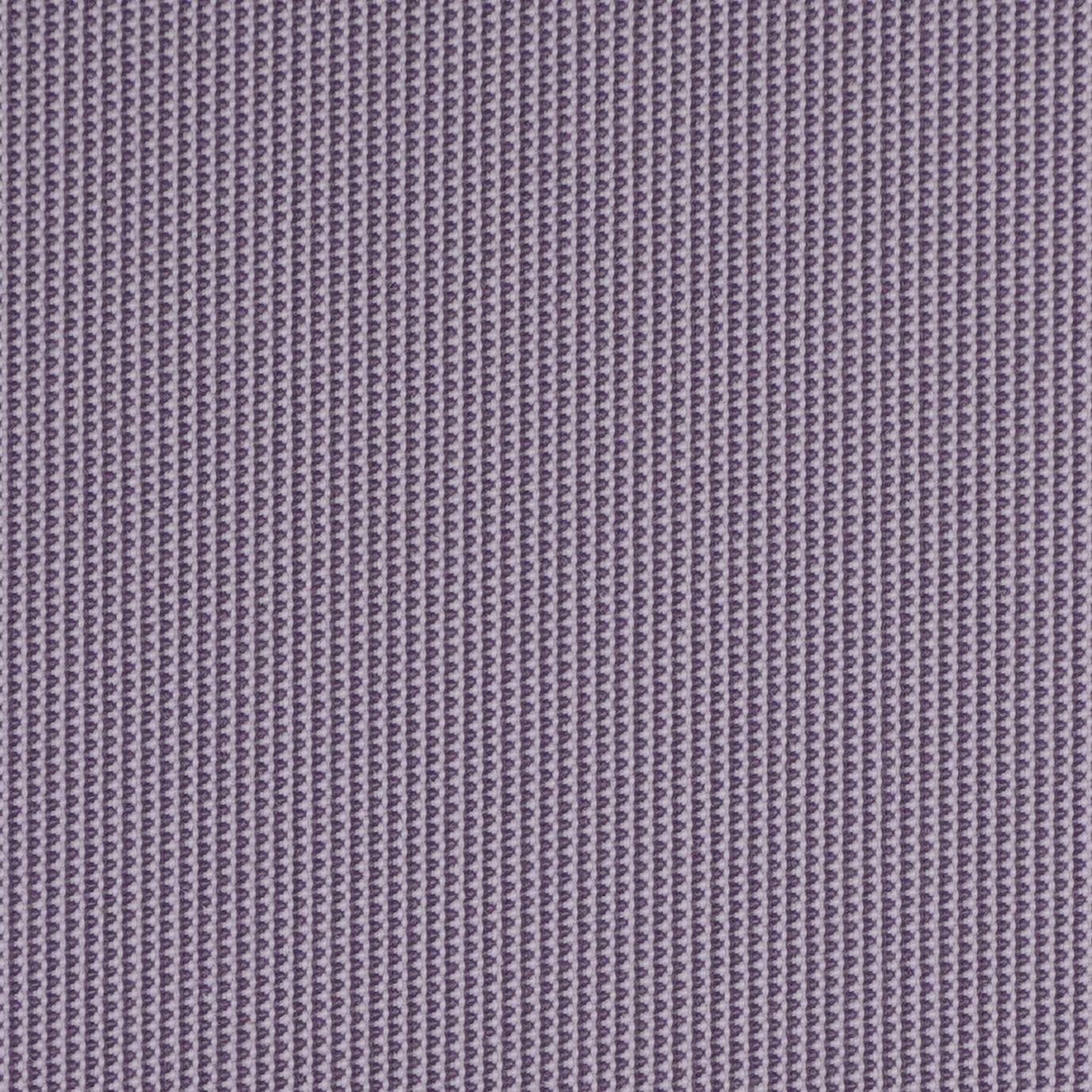 Lila - 8356