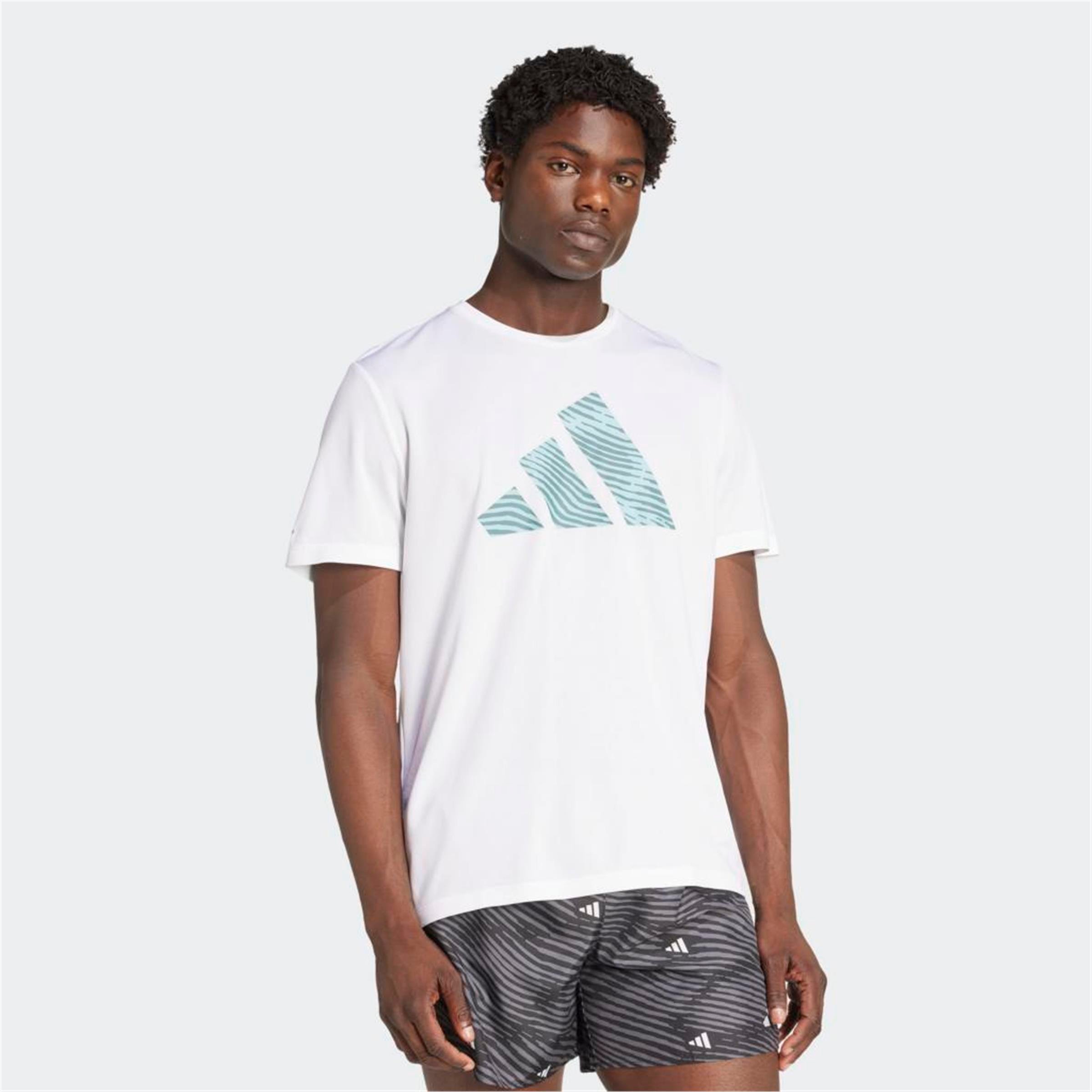 adi365 E BL T M