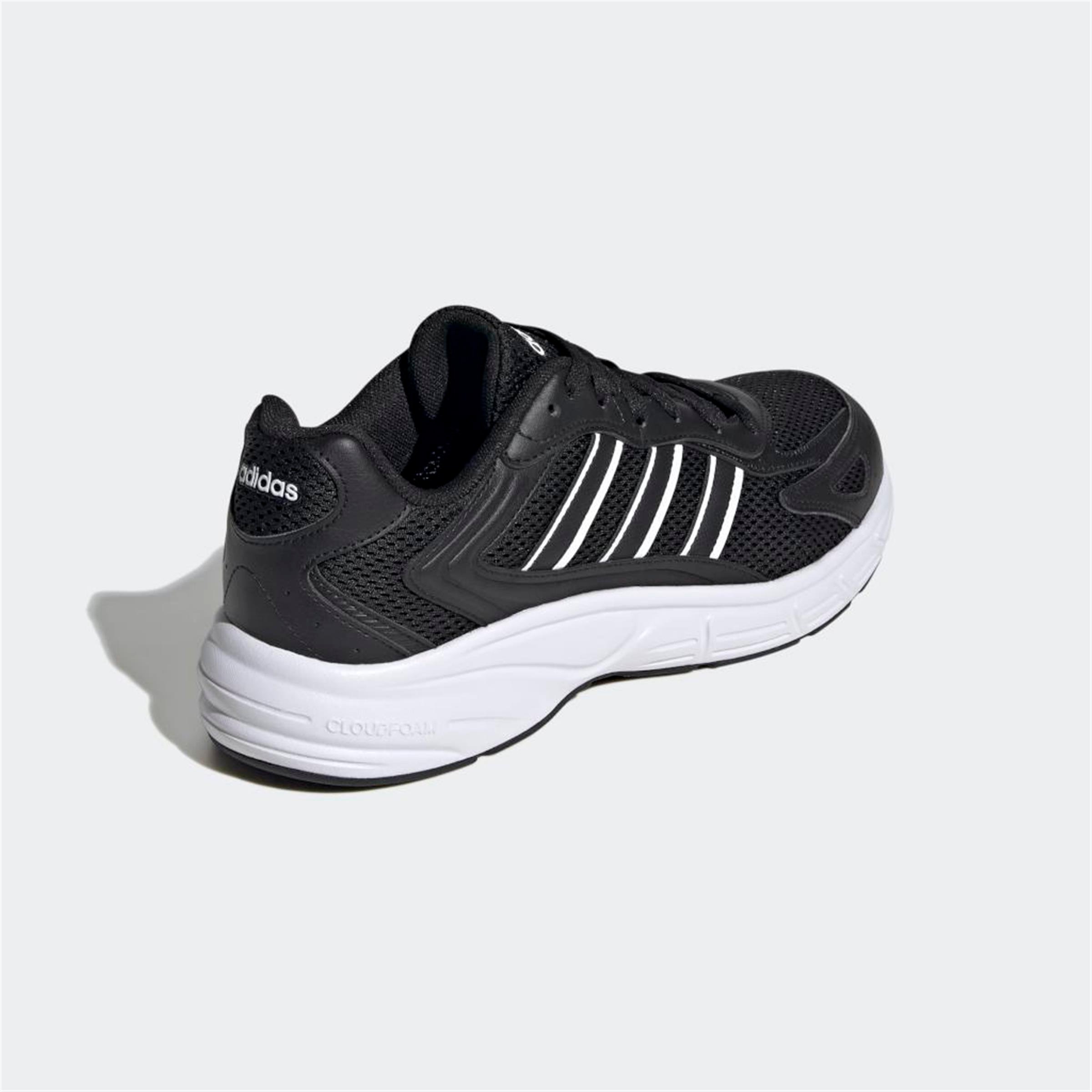 ECLYPTIX 2000