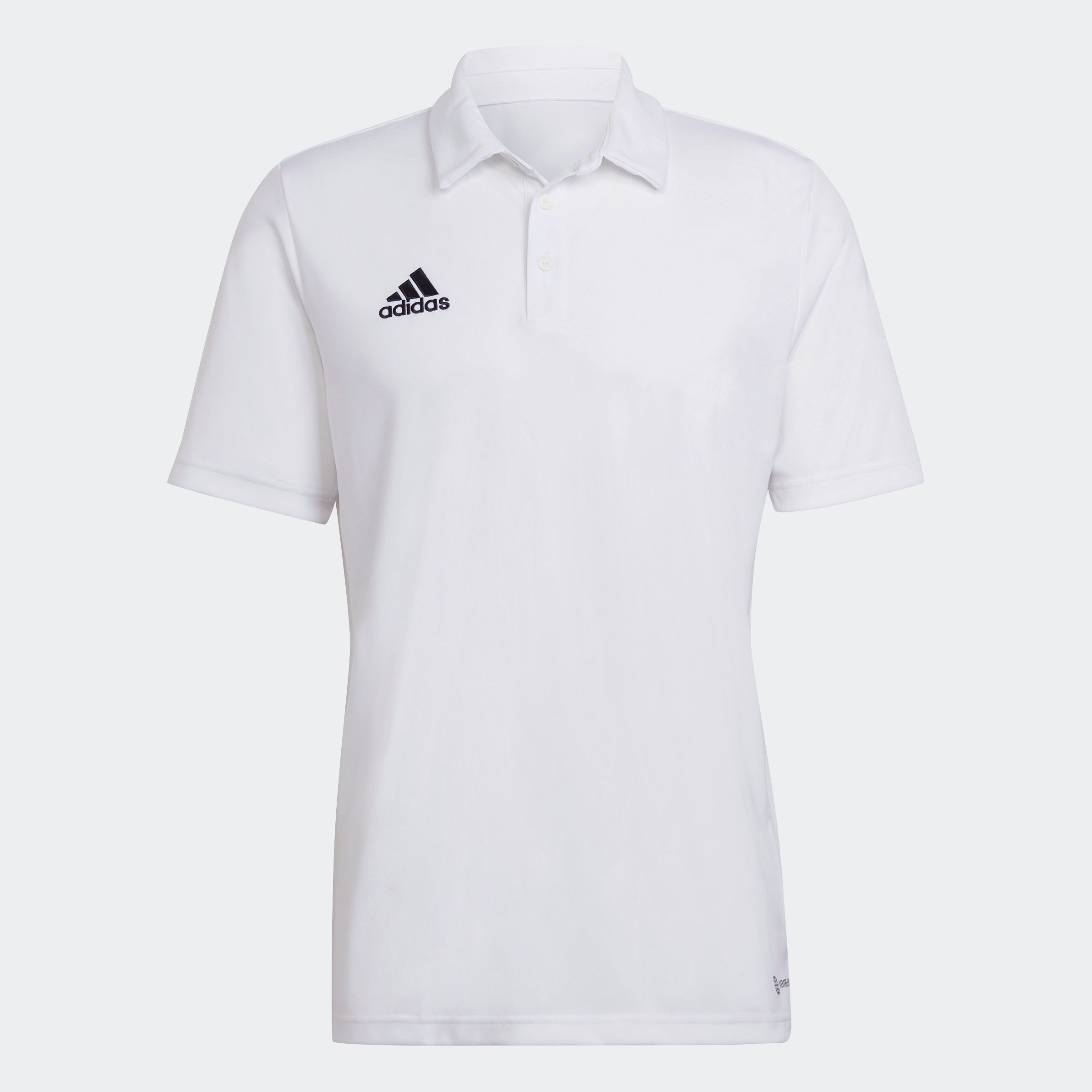 ENT22 POLO