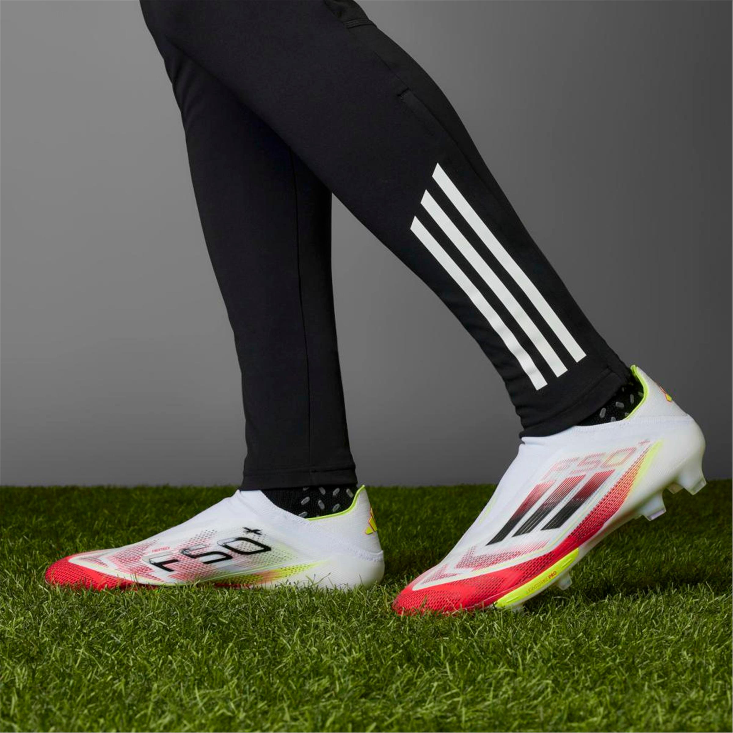 F50+ FG