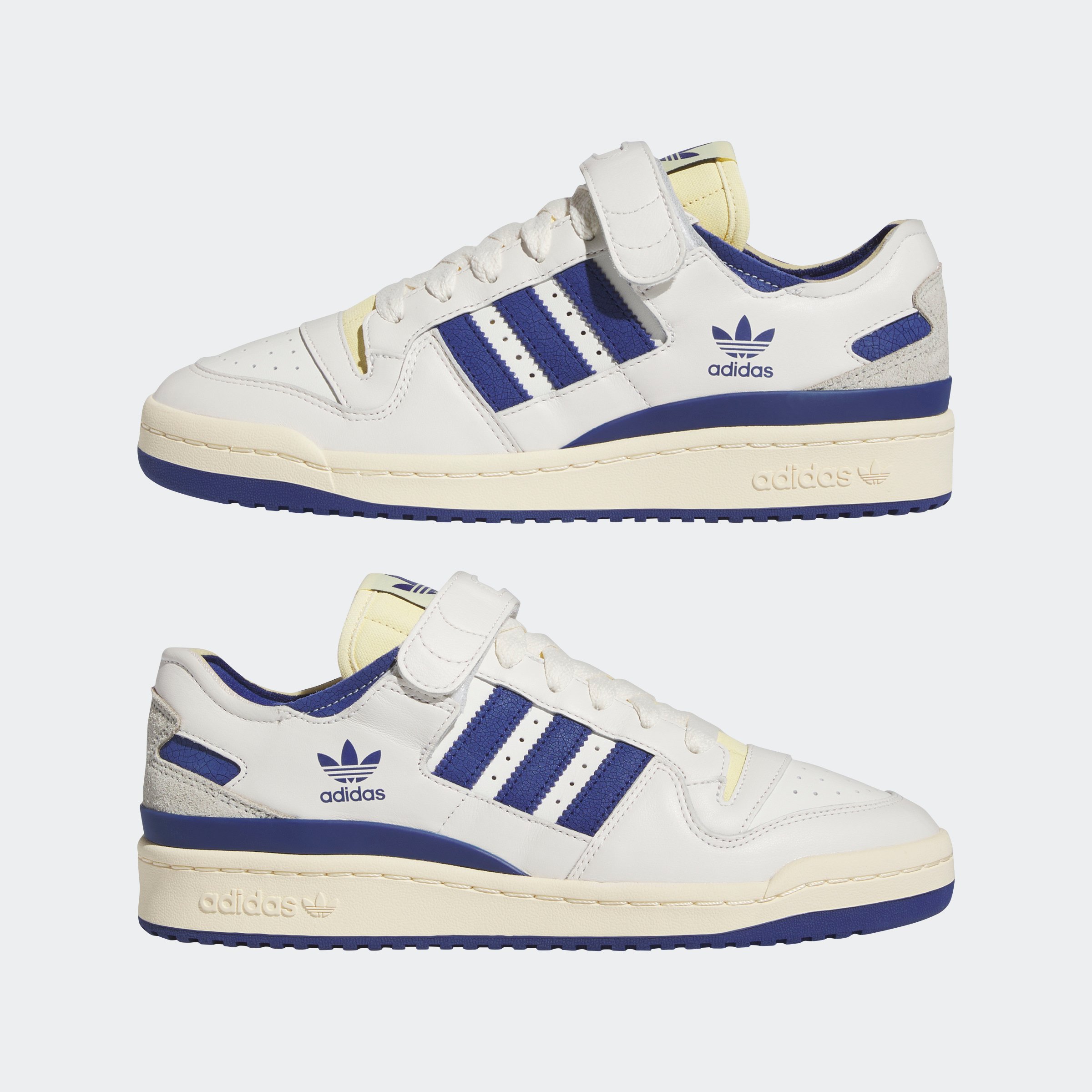 FORUM 84 LOW