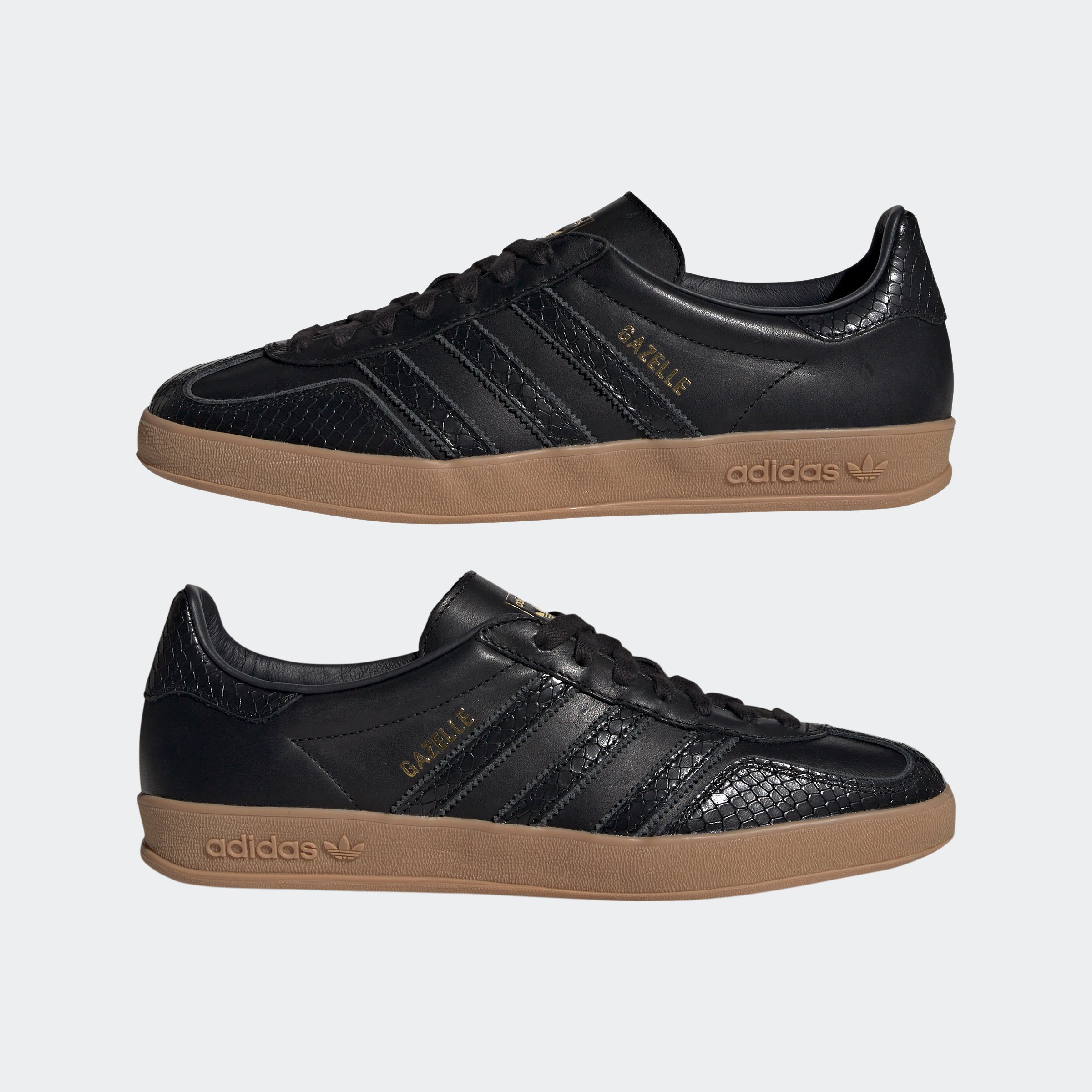 GAZELLE INDOOR