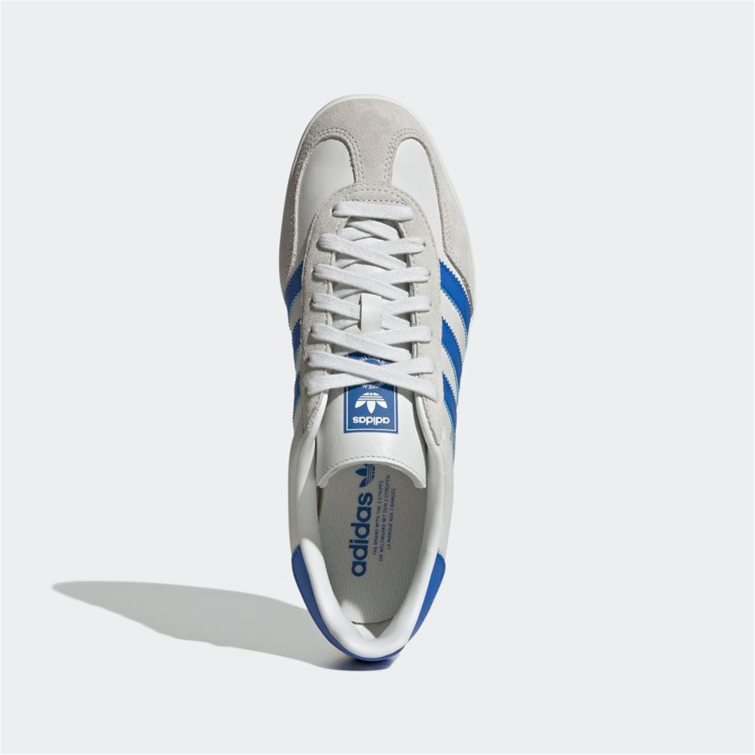 GAZELLE INDOOR